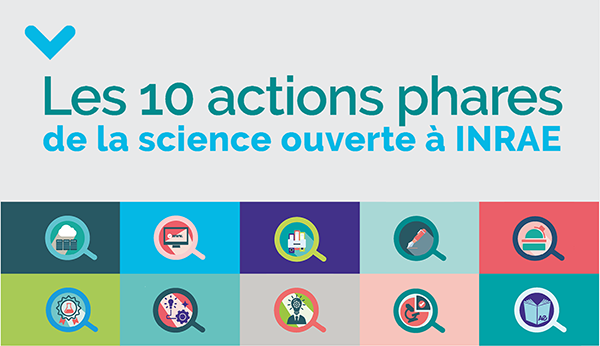 Les 10 actions phares de la science ouverte à INRAE