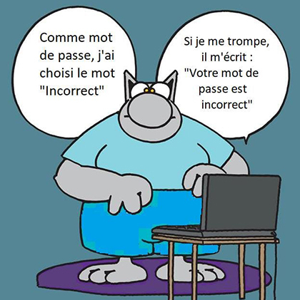 le chat