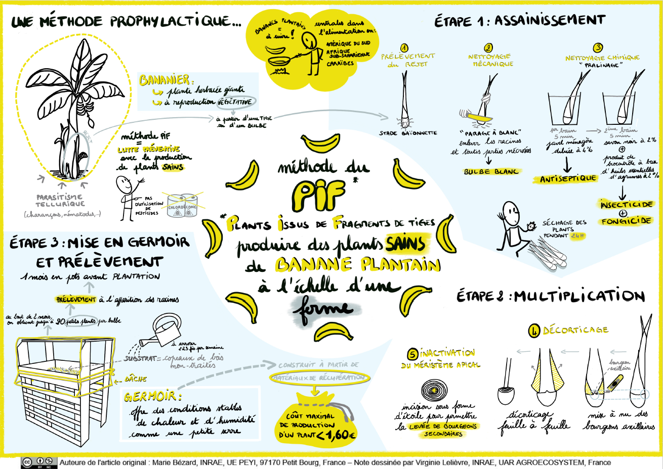 Sketchnote PIF