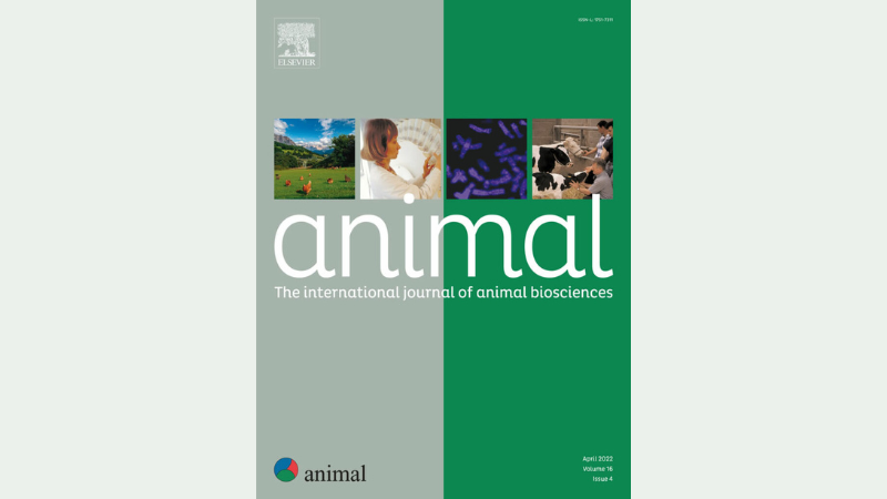 revue Animal