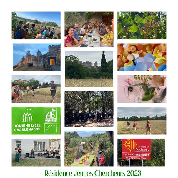 Résidence Jeunes Chercheurs 2023