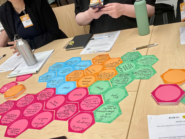 Atelier ECSA avec cartes réutilisables pour documenter rapidement une activité collective